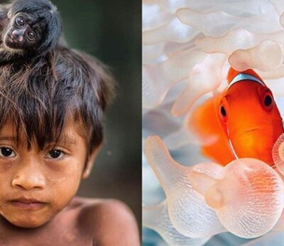 Estas son las fotos más impactantes de National Geographic de 2017