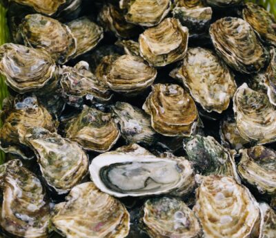 ¿Qué tienen las ostras de ‘Morro Bay Oyster’ y por qué los chefs han caído rendidos ante ellas?