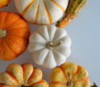 ¿Se pueden comer las calabazas decorativas?