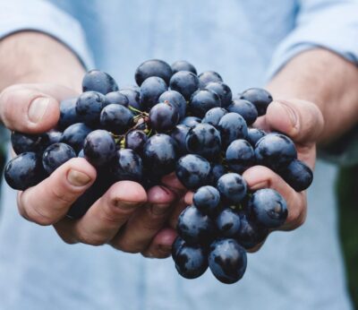 ¿Los incendios contaminan el vino?