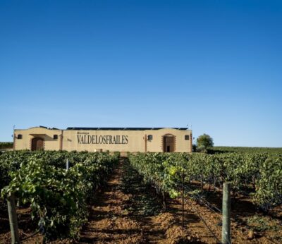 Bodega de tintos en tierra de blancos