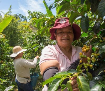 Parada obligatoria para saborear Colombia