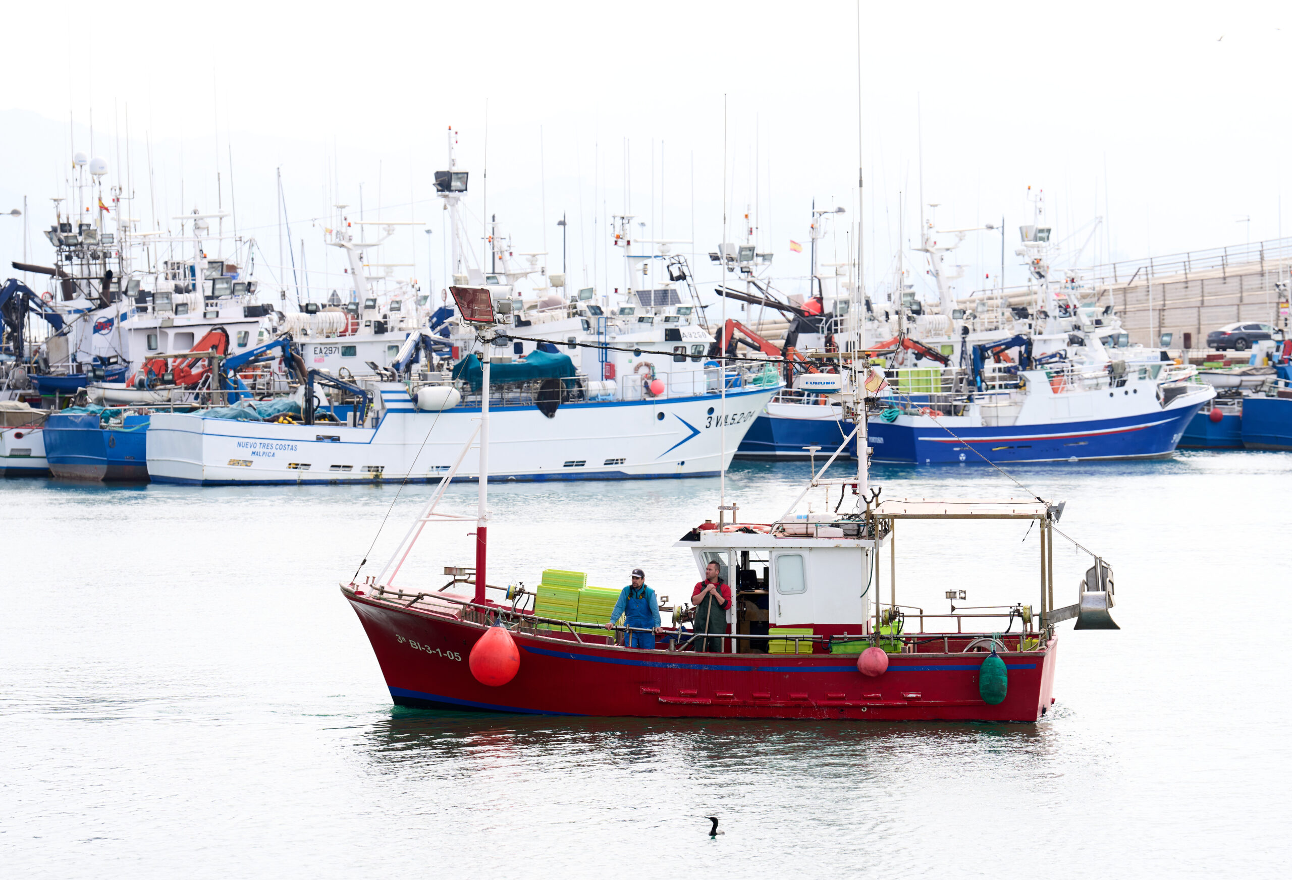 Economía/Pesca.- La flota artesanal vasca de artes menores retoma la actividad este miércoles