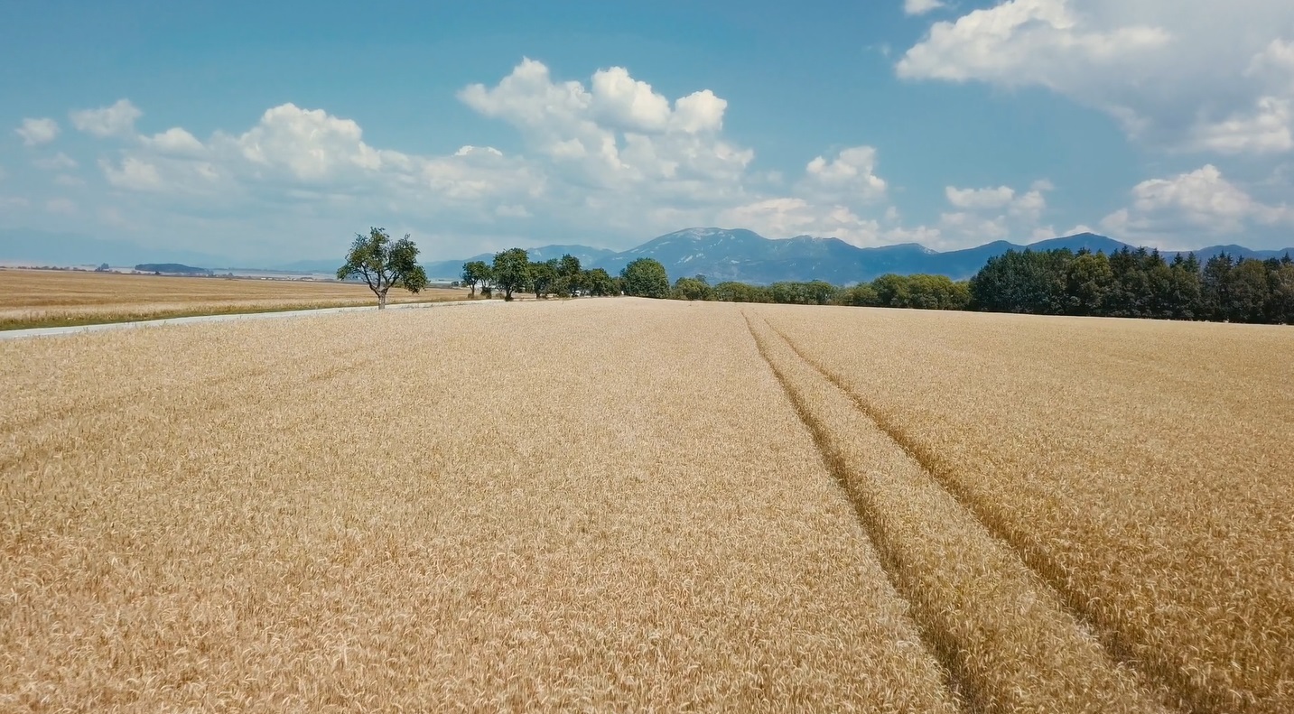 Economía.- El 41% de los titulares de explotaciones agrarias son mayores de 65 años y aumenta la inversión de fondos