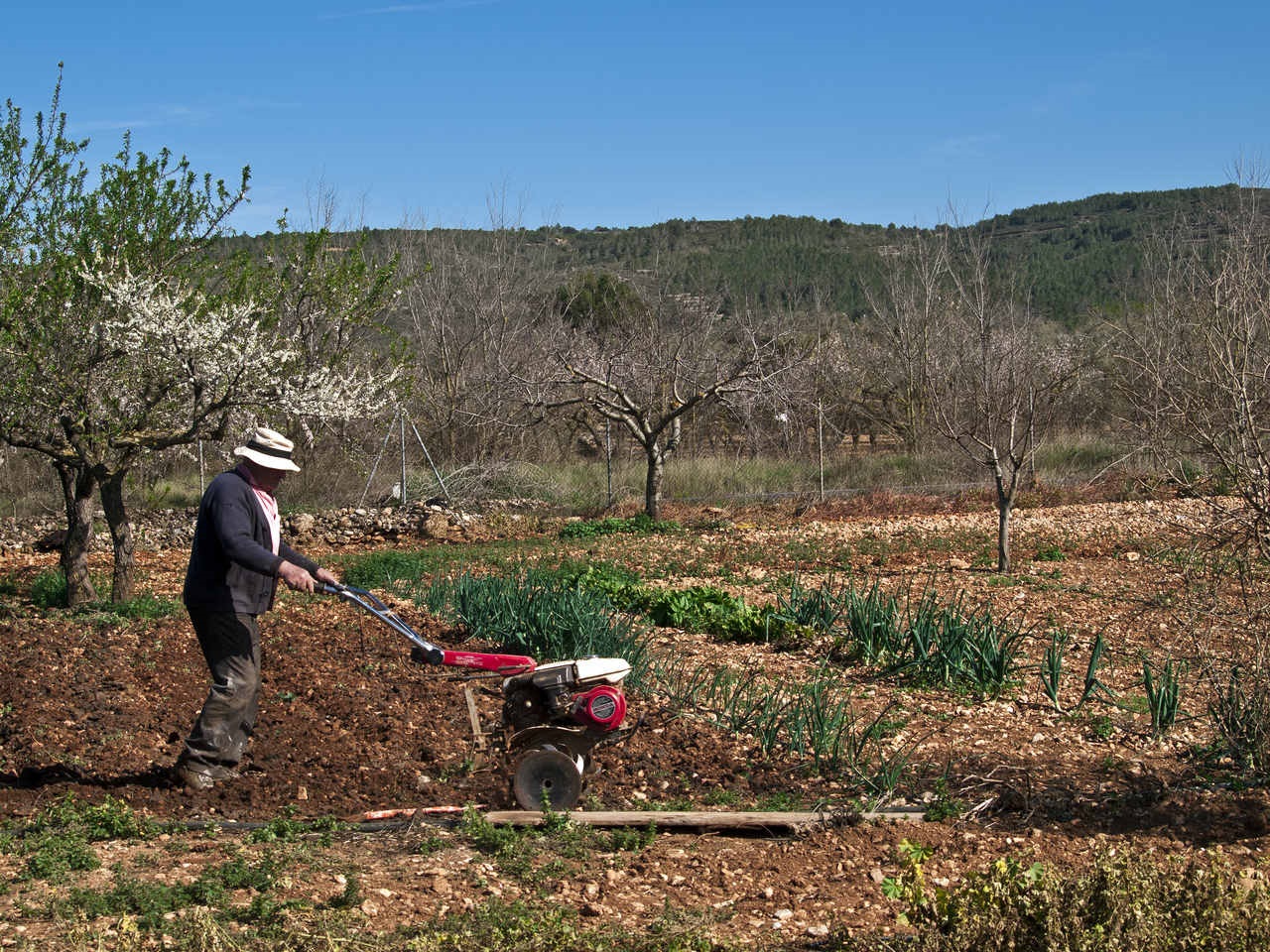 Economía.- Unos 650.000 agricultores y ganaderos se beneficiarán de 4.875 millones de las ayudas directas de la PAC