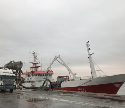 Economía.- Las ayudas al sector pesquero afectado por fin del acuerdo de Marruecos pueden solicitarse desde este martes