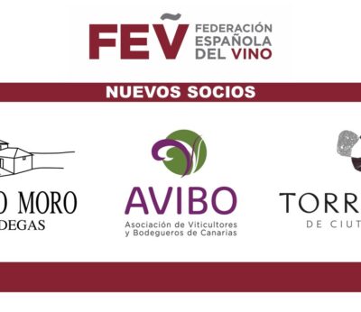 Economía.- La Federación Española del Vino (FEV) crece con la incorporación de Bodegas Emilio Moro, Torralba y Avibo