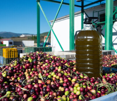 Economía.- El precio del aceite de oliva se elevó un 64,5% en noviembre, con una caída de la demanda del 43%