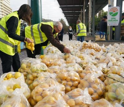 Economía.- UPA reparte 3.000 kilos de limones en Málaga para criticar «los precios de ruina» que cobran los productores