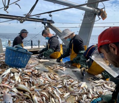 Economía.- Bruselas invita a España a pedir fondos UE para compensar la prohibición de pesca en aguas francesas