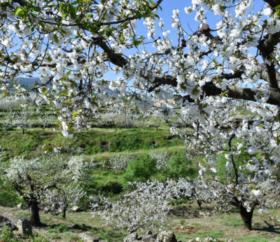 Economía.- El valor del suelo agrario se eleva en 2023 a pesar de las  condiciones climáticas y económicas adversas