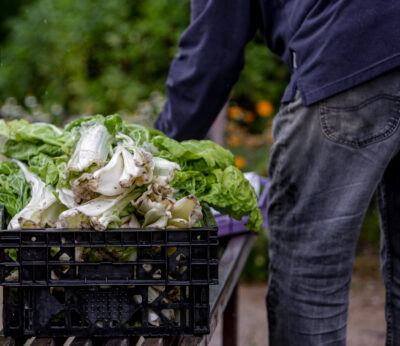 Economía.- La producción de verduras congeladas cae un 1% en 2023 impactada por la sequía