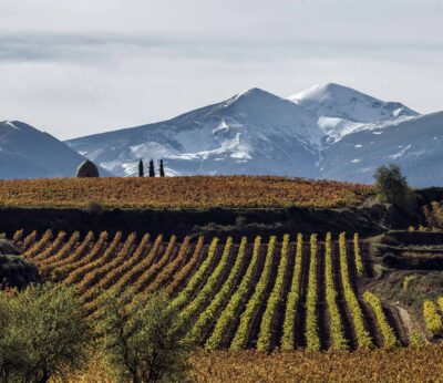 Economía.-La gran diversidad de Rioja estará presente en un maridaje con alta cocina de mercado y vinos en Madrid Fusión