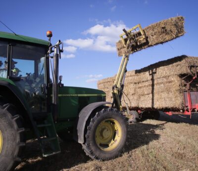 Economía.- Valero (Sumar) advierte a Planas de la «especulación sobre la tierra» y reclama una ley agrícola «social»