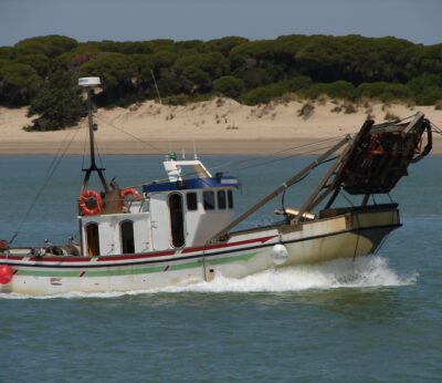 Economía-Pescadores andaluces piden al Gobierno que lleve a Europa tener las mismas condiciones con la chirla que Italia