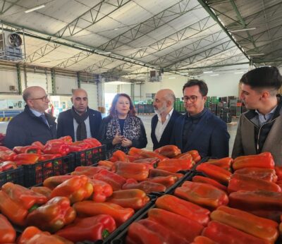 Economía.- Andalucía invitará por carta al Gobierno francés y a Ségolène Royal a conocer sus producciones ecológicas