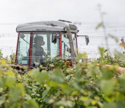 Economía.- Sindicatos agrarios de Vizcaya convocan una tractorada para el 9 de febrero para exigir precios justos