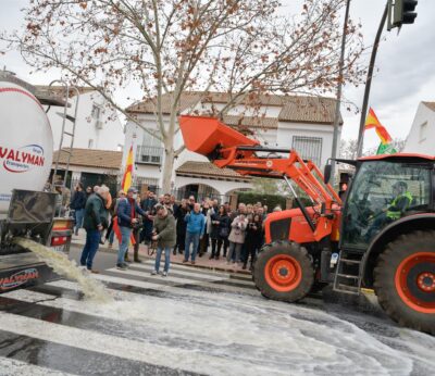 Economía.- Unos 400 agricultores de Ciudad Real derraman más de 25.000 litros de vino francés