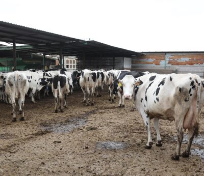 Economía.- España, el cuarto país de la UE donde más subieron los precios de productos agrarios en origen en 2023