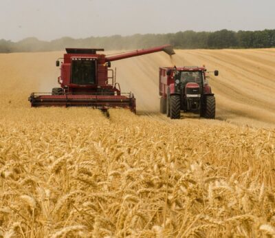 Economía.- Bruselas trabaja con los 27 en el diseño del plan para reducir la carga administrativa de los agricultores