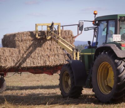 Economía.- (AMP) El comisario de Agricultura propone ayudas nacionales de hasta el 10% de la PAC ante las protestas