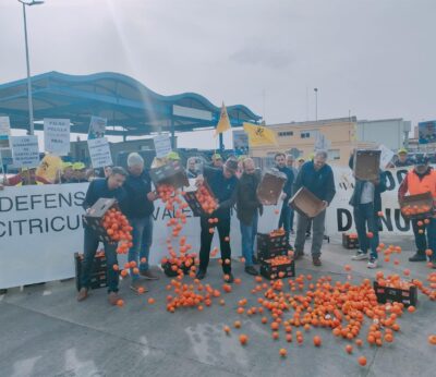 Economía.- Agricultores protestan en los accesos al Puerto de Castellón contra la competencia desleal de países terceros