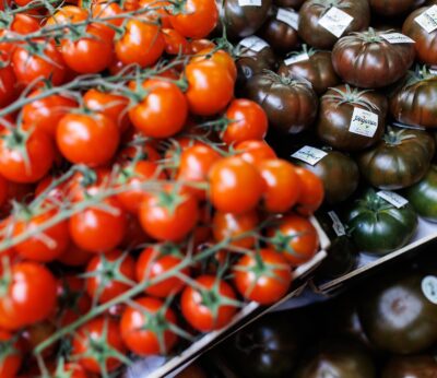 Economía.-UPA-UCE Extremadura denuncia a industrias tomateras por «saltarse la ley» y pagar precios por debajo de costes