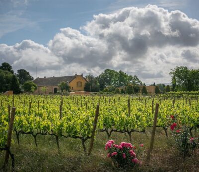 Familia Torres es la marca de vino más admirada del mundo