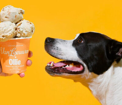Van Leeuwen lanza un helado gourmet para perros