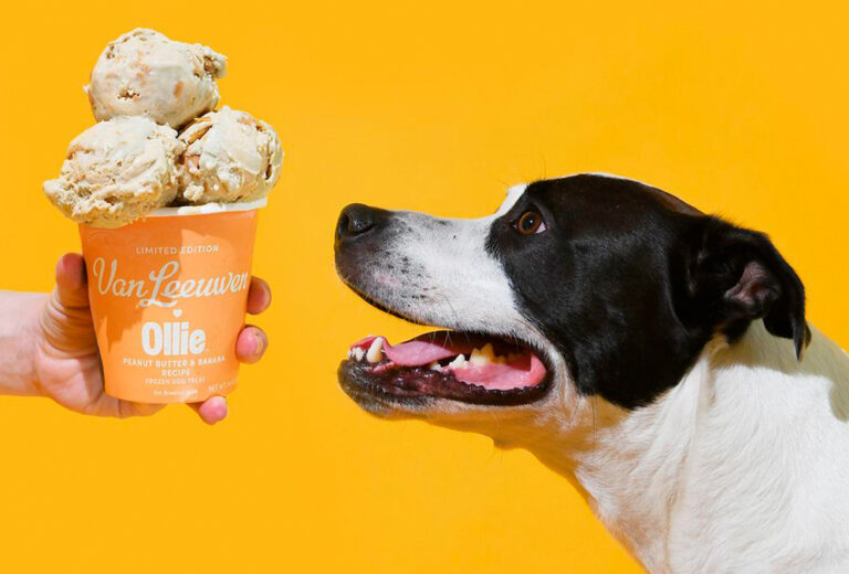 Van Leeuwen unveils gourmet ice cream for dogs
