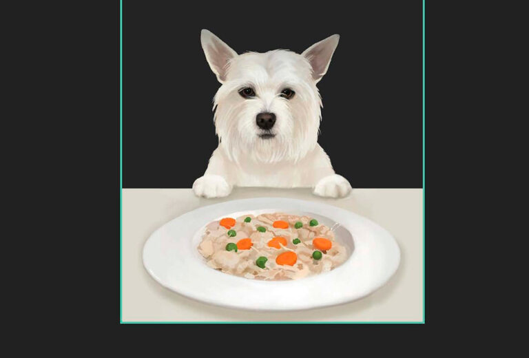 ‘The Art Of Canine Cuisine’ es el libro esencial para los foodies con perro