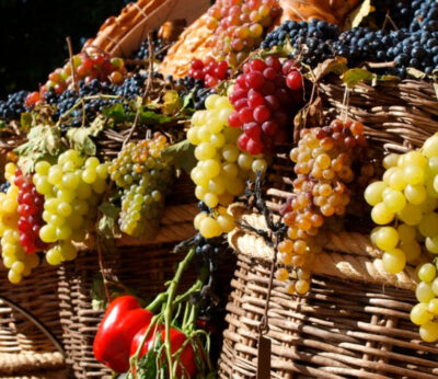 The great spanish grape harvest festival: where to celebrate it