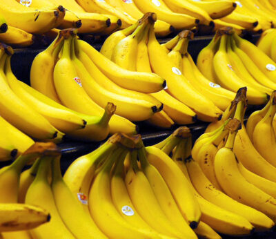 The banana is going extinct, but science could save it