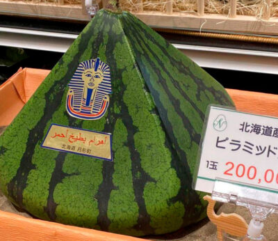 This Japanese pyramidal watermelon costs more than a thousand dollars