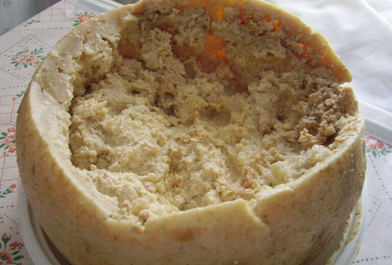 Casu marzu: así es el queso más peligroso del mundo