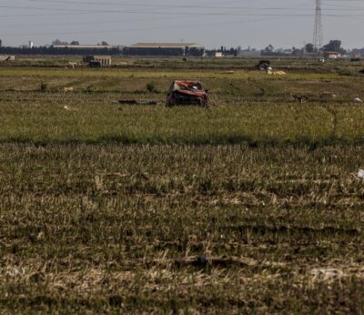 Agricultura abre este lunes el plazo para solicitar ayudas a viveros, cultivos hortícolas y herbáceos afectados por dana