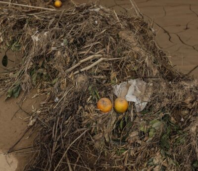 Agricultura actúa en 306 caminos rurales dañados por la dana en la provincia de Valencia y de Castellón