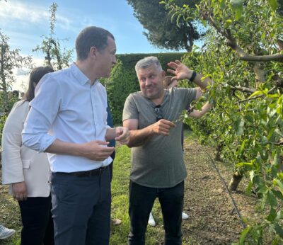 Agro.- Agricultura estima afectaciones con un 100% de daños en cultivos agrarios tras el pedrisco