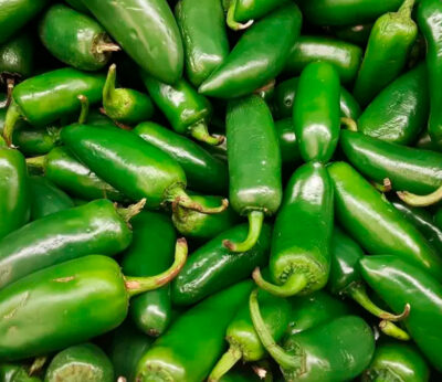 Why are jalapeños now less spicy?